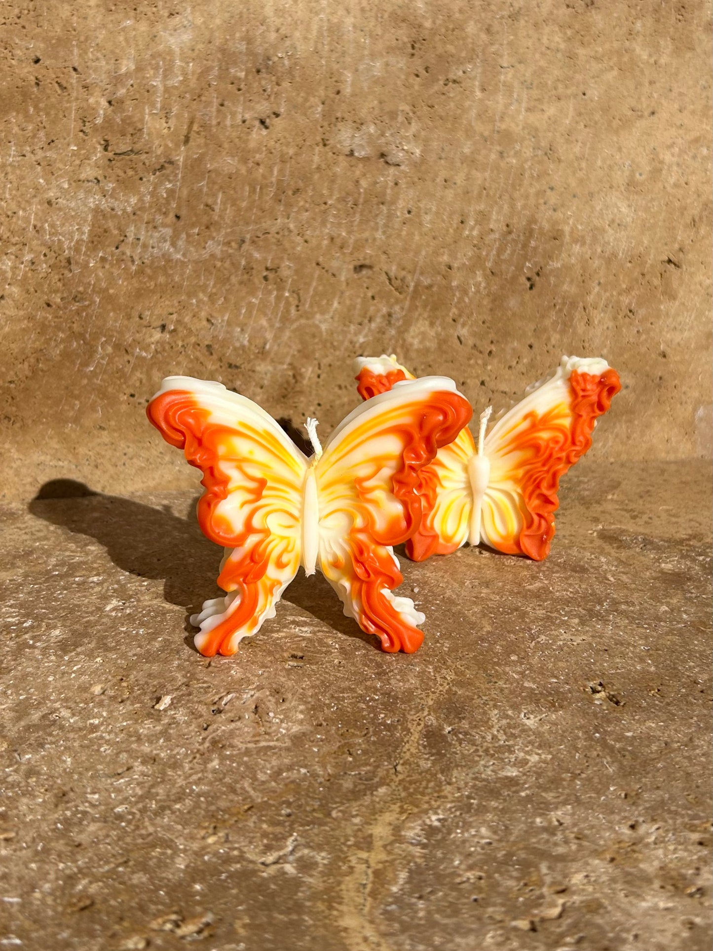 Duo Papillons