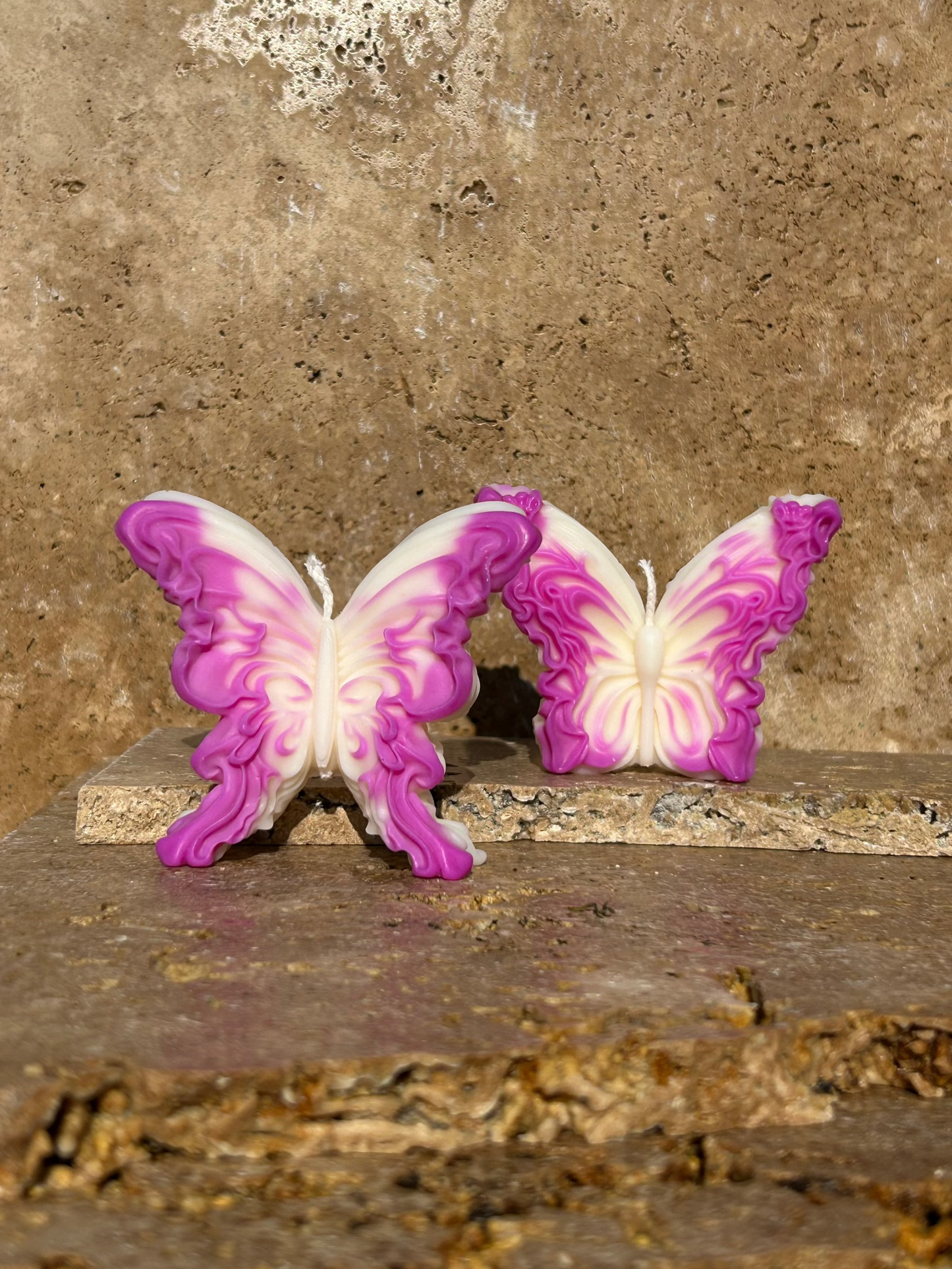 Duo Papillons