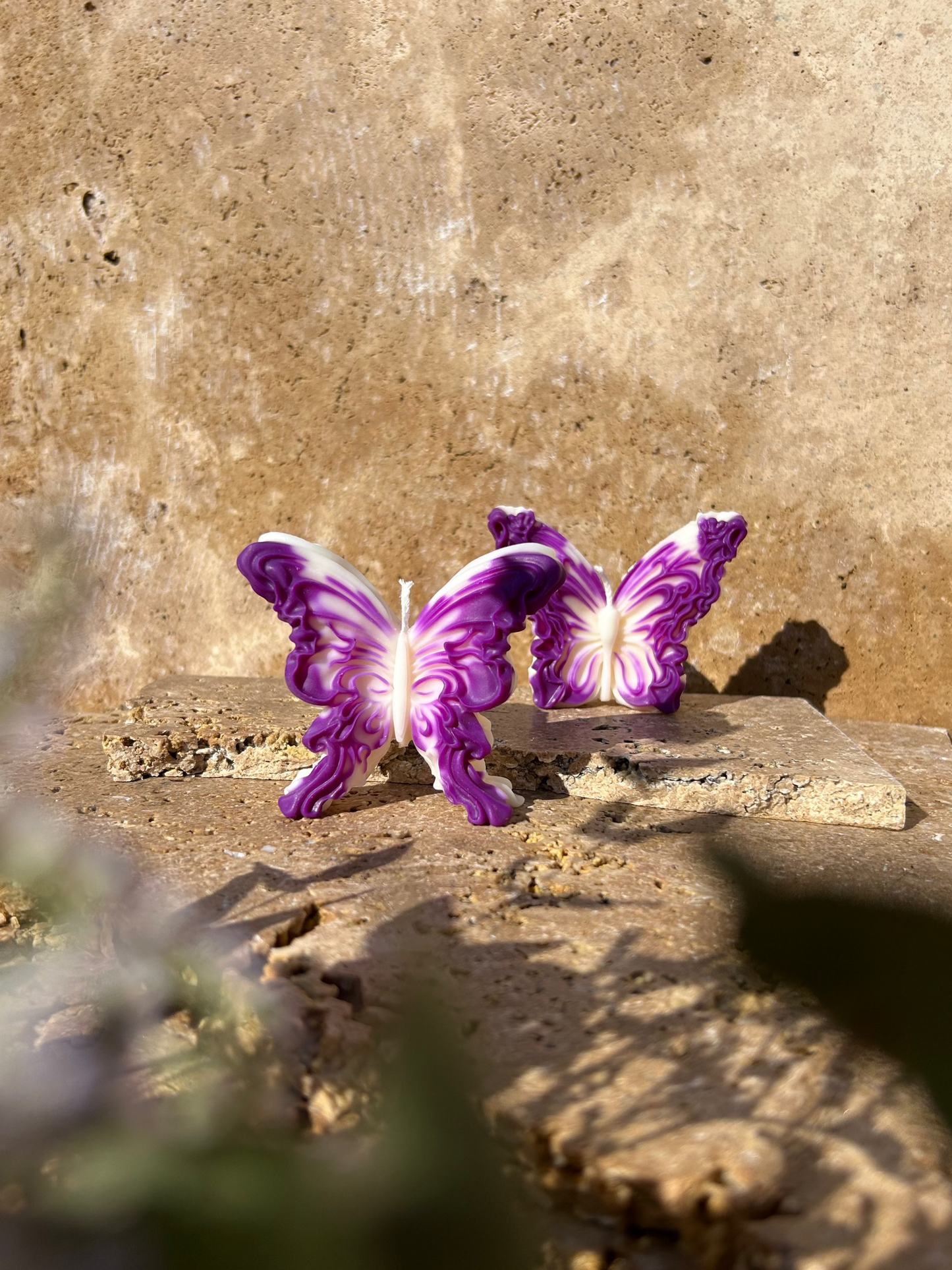 Duo Papillons
