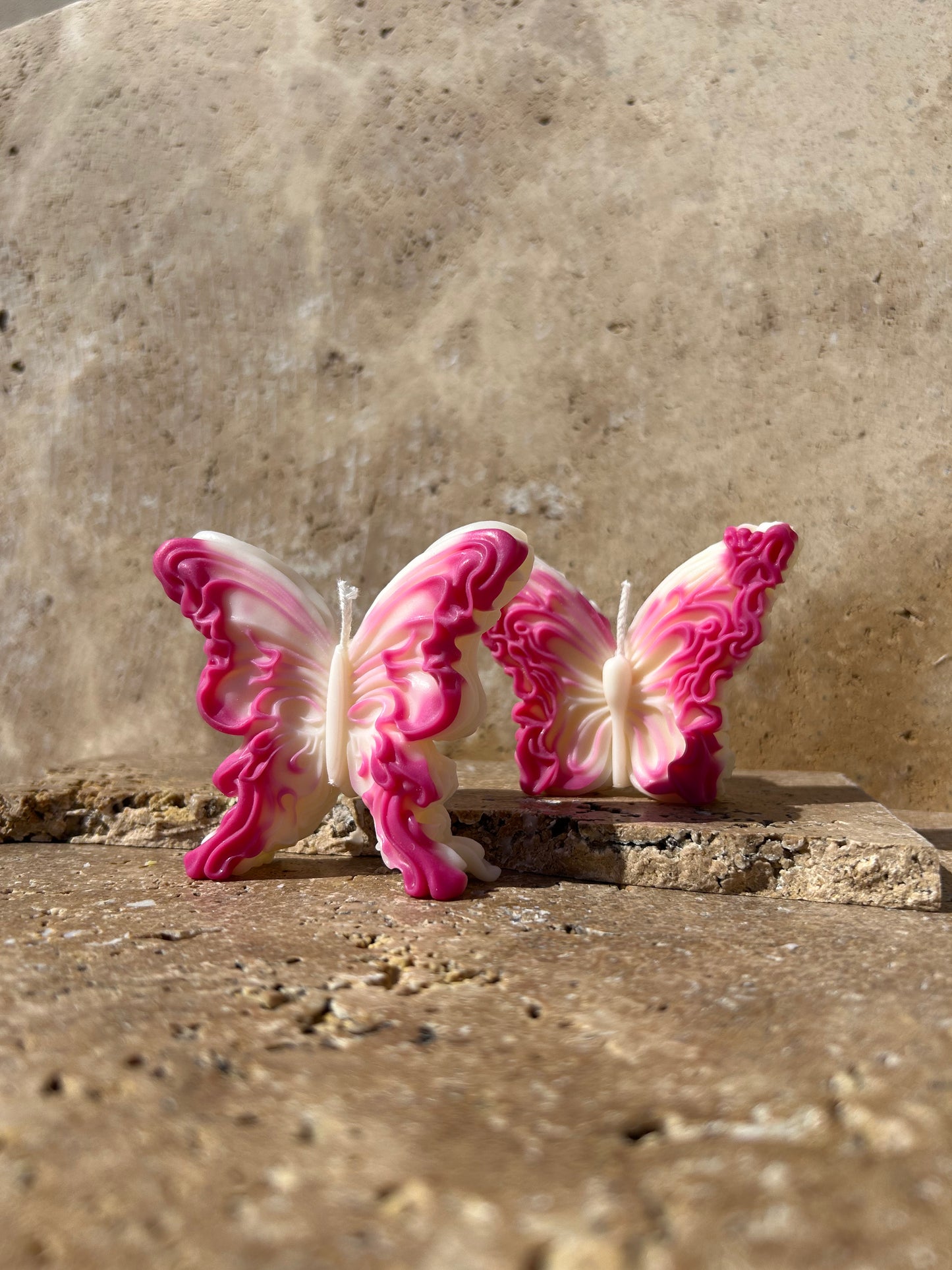 Duo Papillons