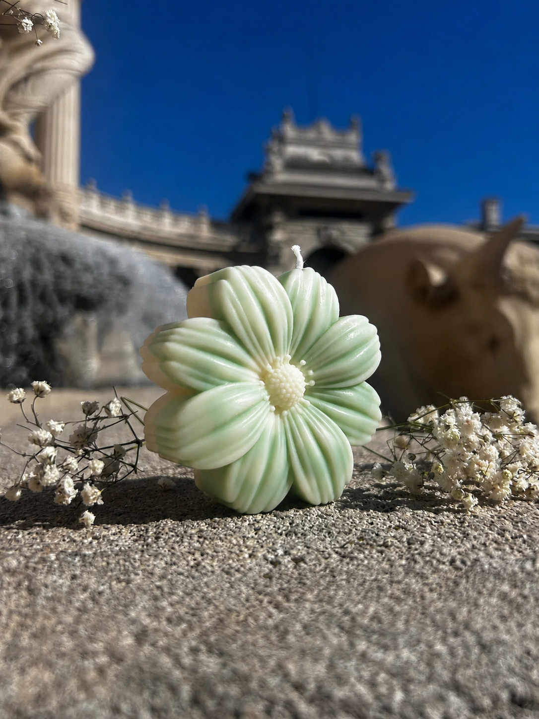 Le Dahlia