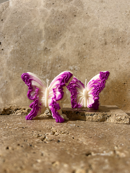 Papillon