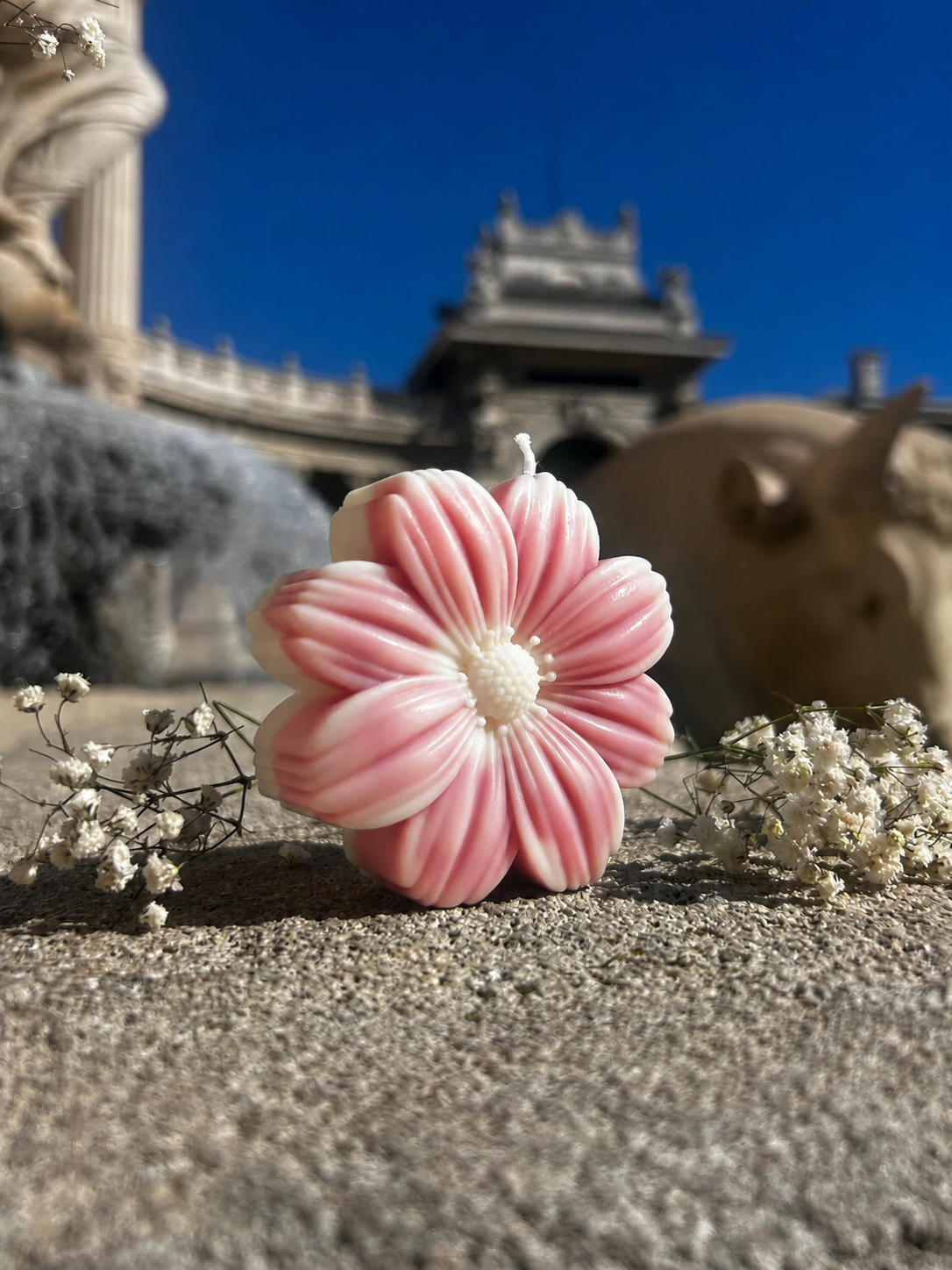 Le Dahlia
