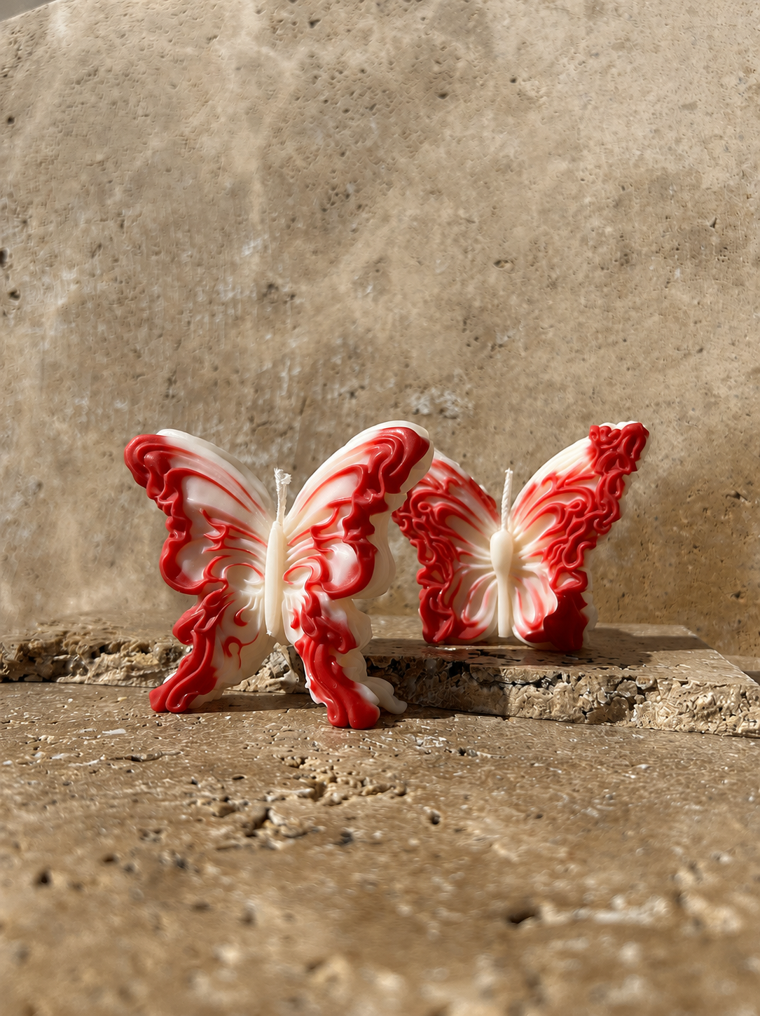 Duo Papillons