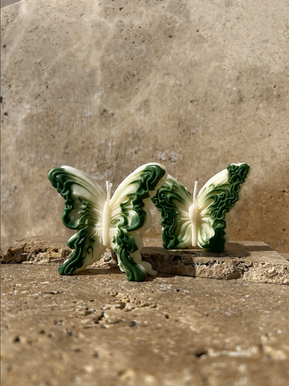 Papillon