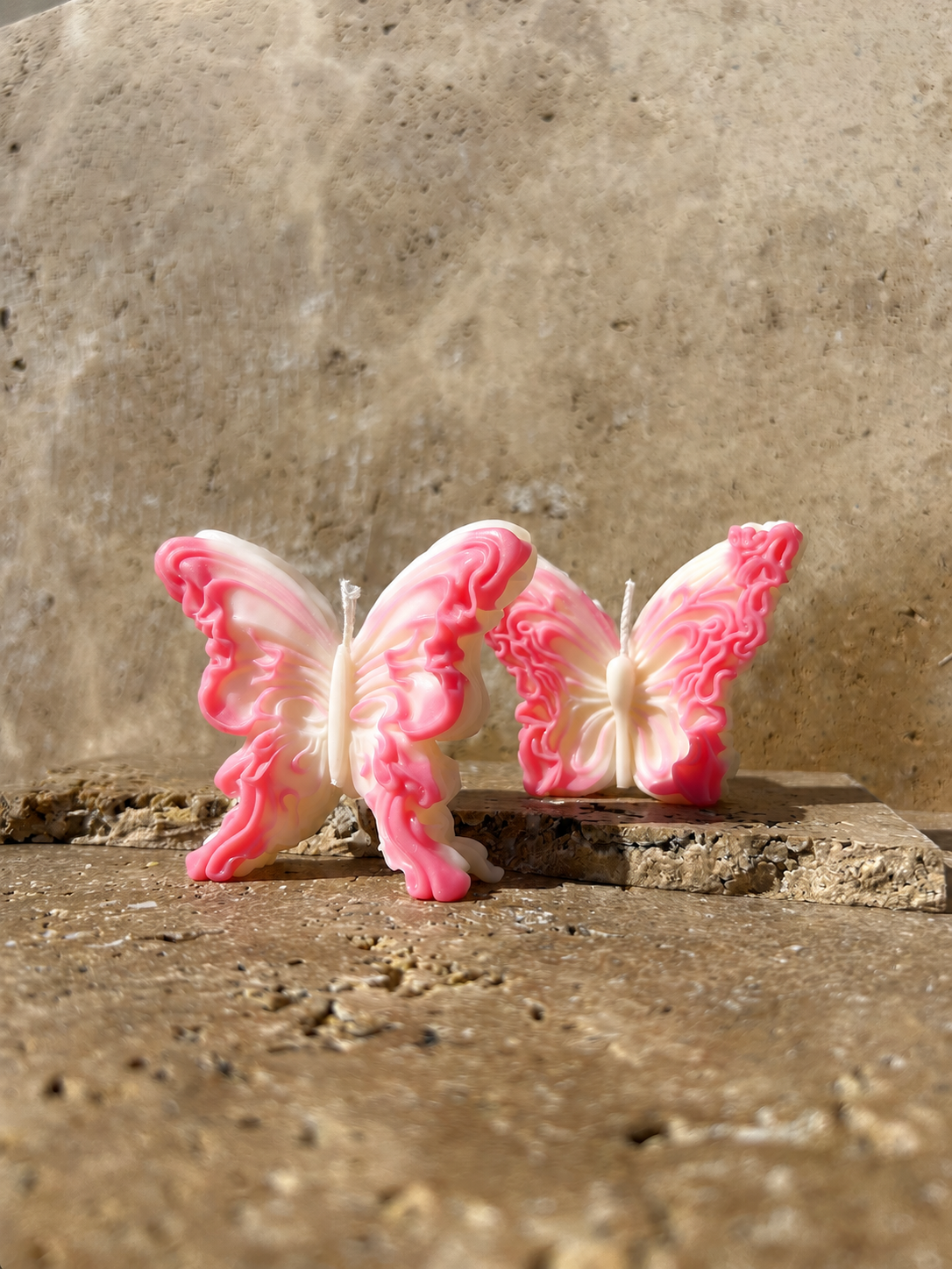 Duo Papillons