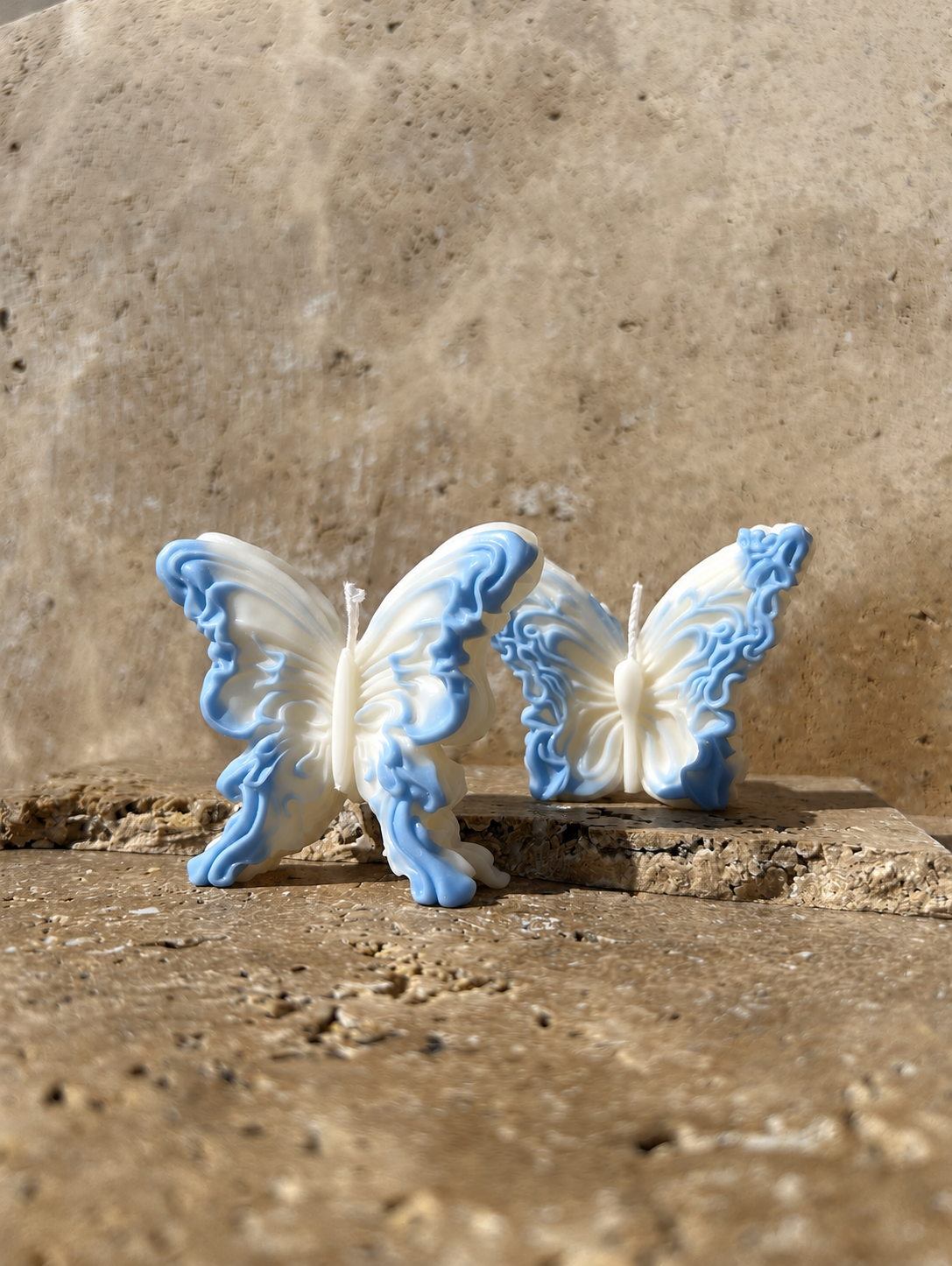 Duo Papillons