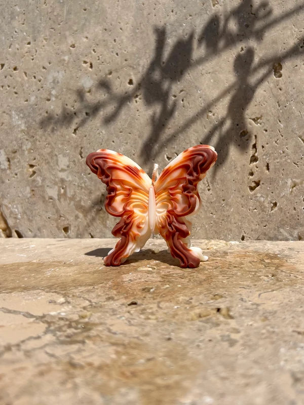 Papillon
