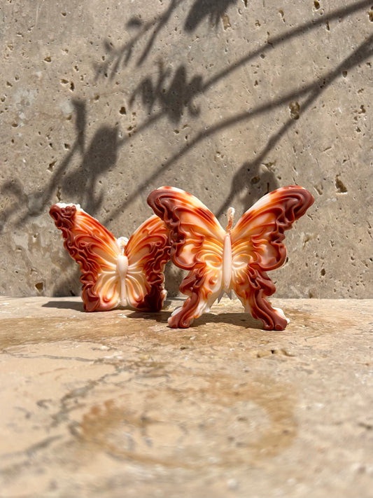 Duo Papillons