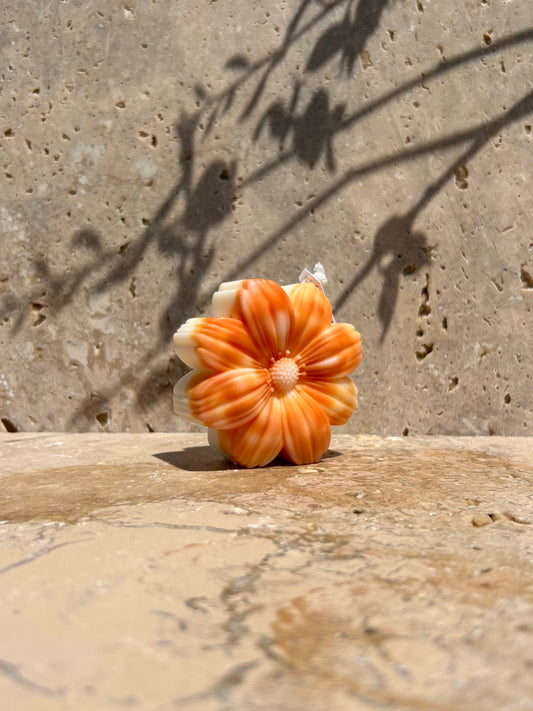 Le Dahlia