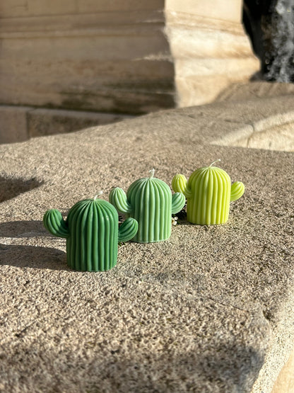 le trio de cactus