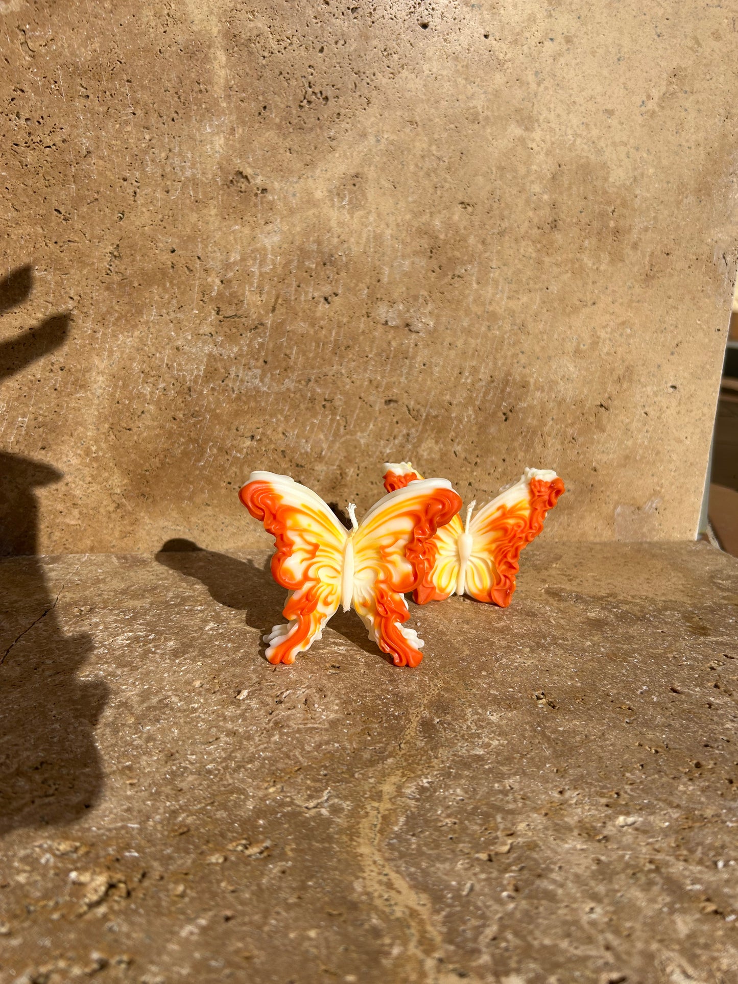 Papillon