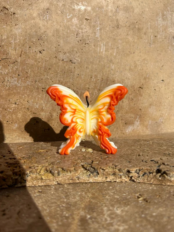 Papillon