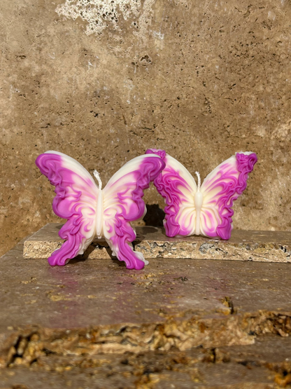 Papillon