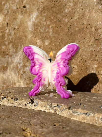 Papillon