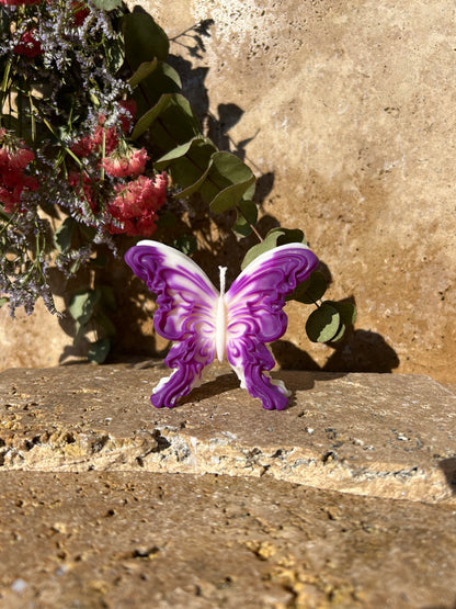 Papillon