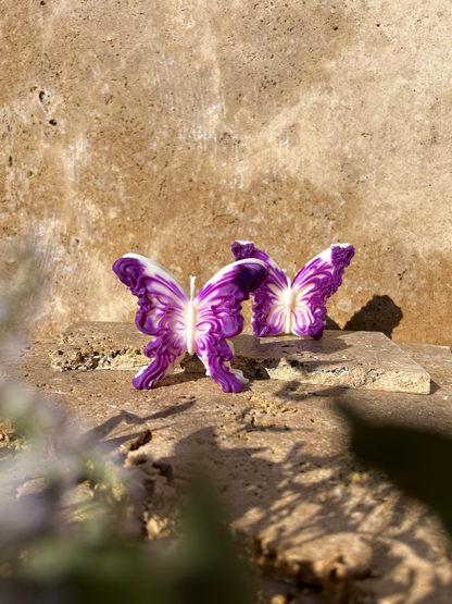 Papillon