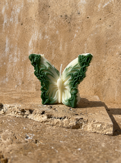 Papillon