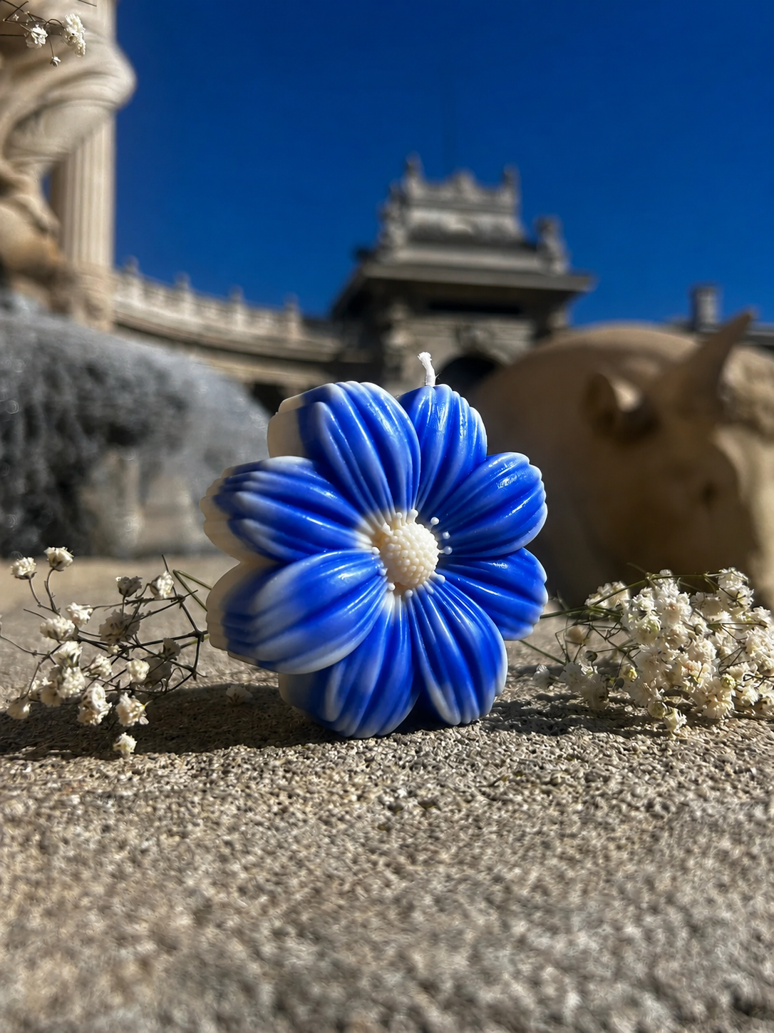 Le Dahlia