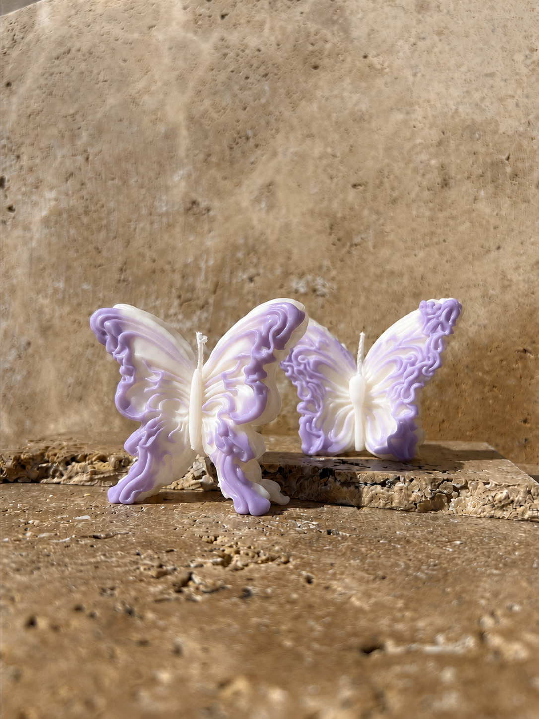 Duo Papillons